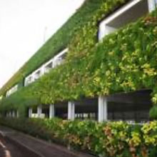 Green Wall